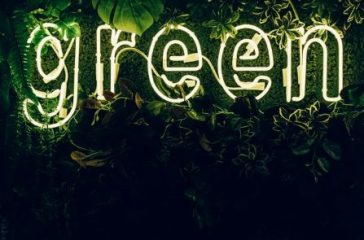 pexels-daria-shevtsova-3626733