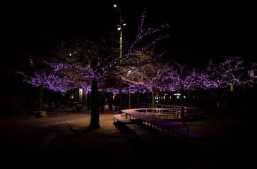 Vinterljus2021_Furutorpsplatsen liten