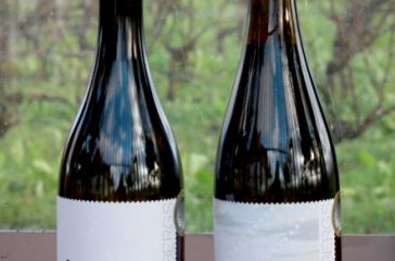 Immelen 2020 Josefinelust 2019