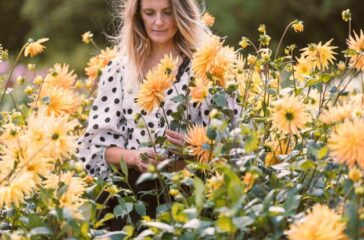 Guldahliarabatt_Carro