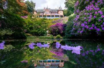 SO Rhododendron2 2025 Kampanjbild 1920x1080px