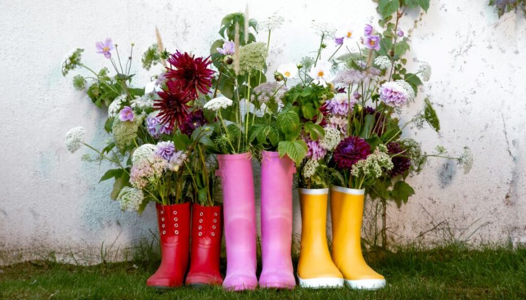 SO Trädgårdsdagarna 2025 Kampanjbild 1920x1080px