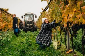 studiovega_221022_402