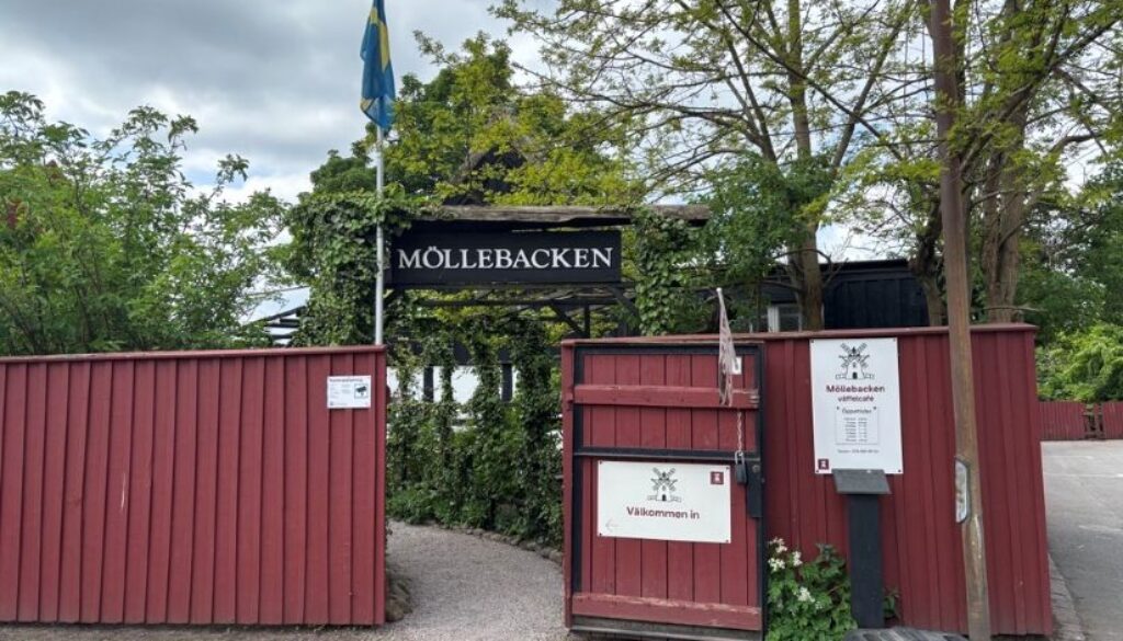 mollebacken